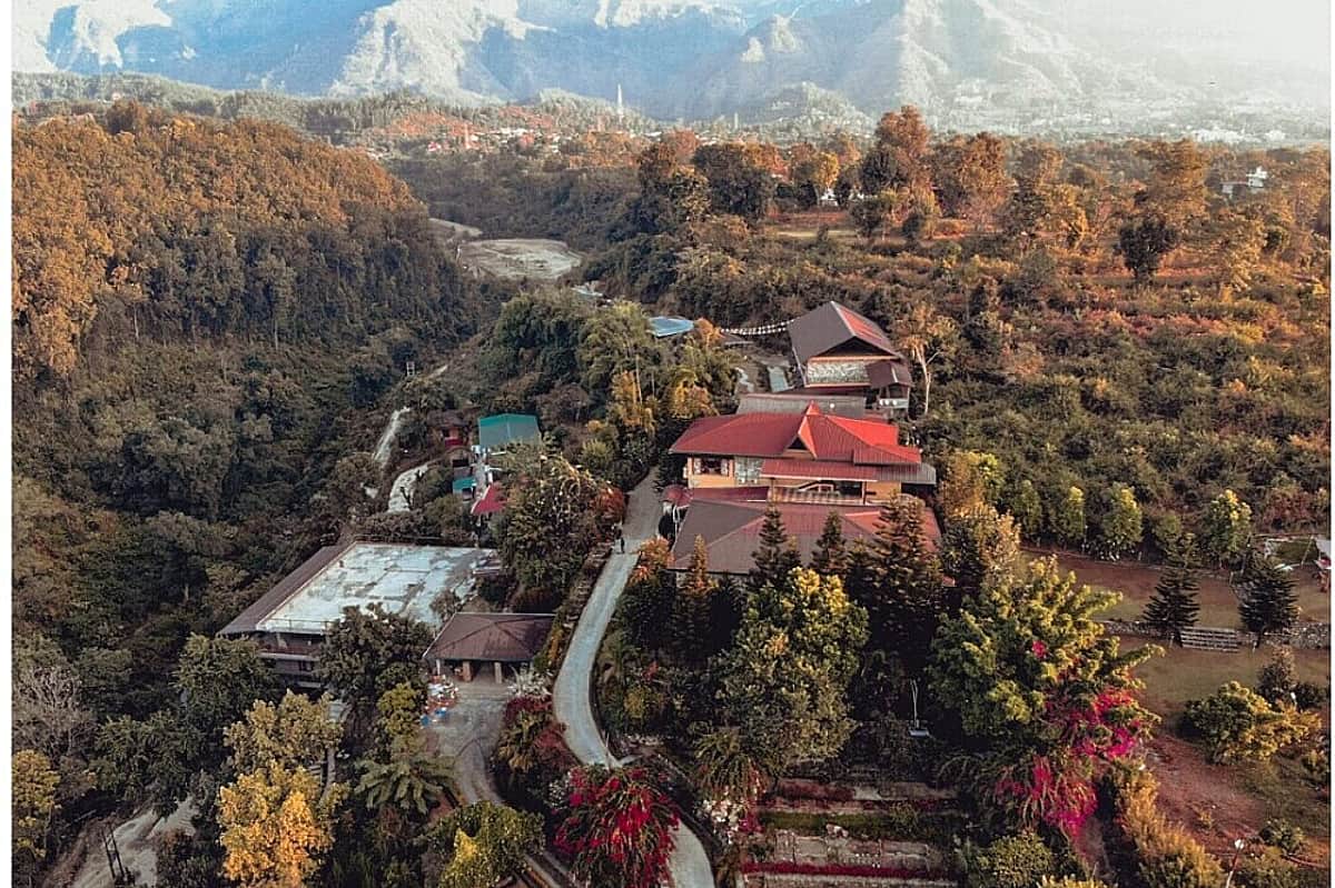 Children learning in nature